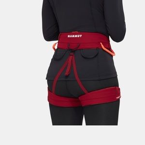 Mammut Climbing Harness